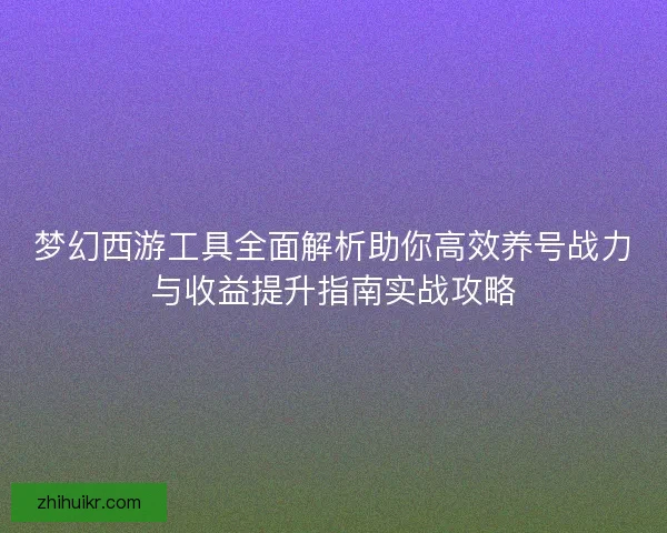 梦幻西游工具全面解析助你高效养号战力与收益提升指南实战攻略